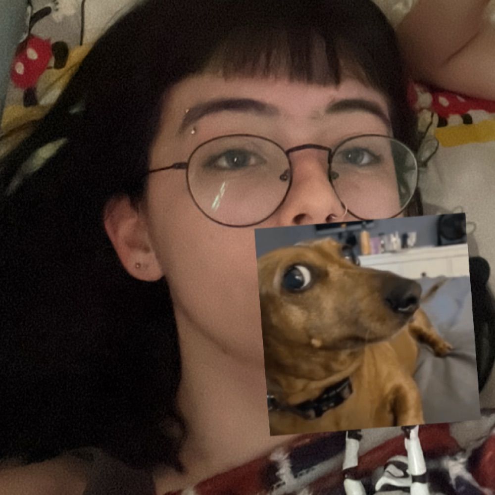 lis ♡