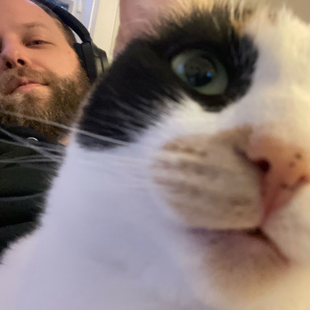 Waggles