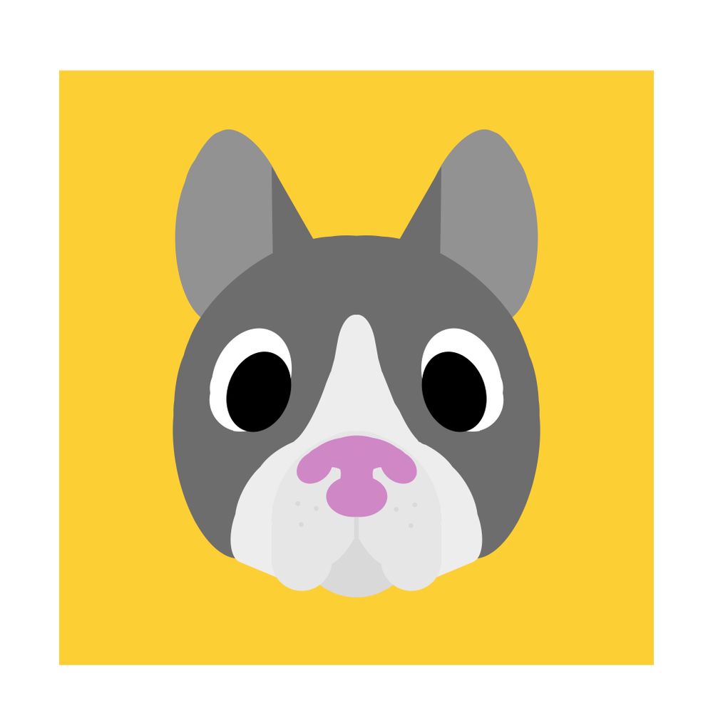 Bastien the French Bulldog