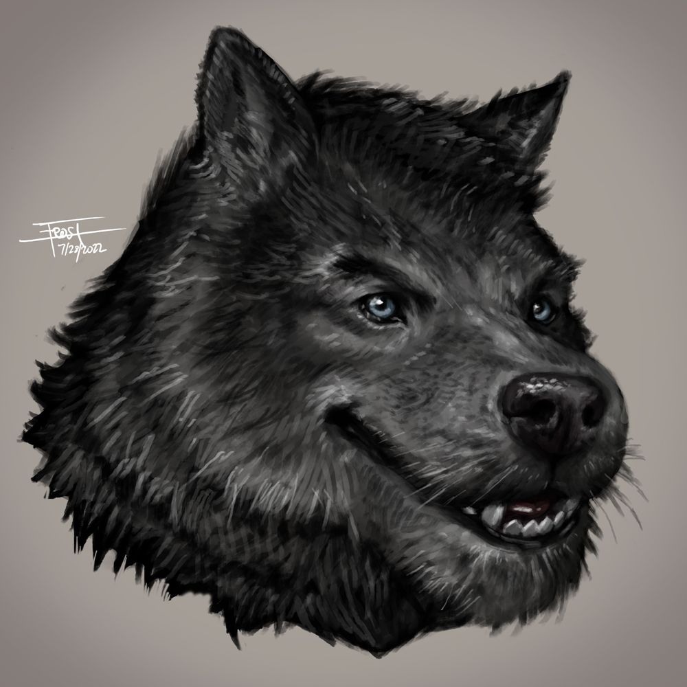 The Big Bad Wolf's avatar