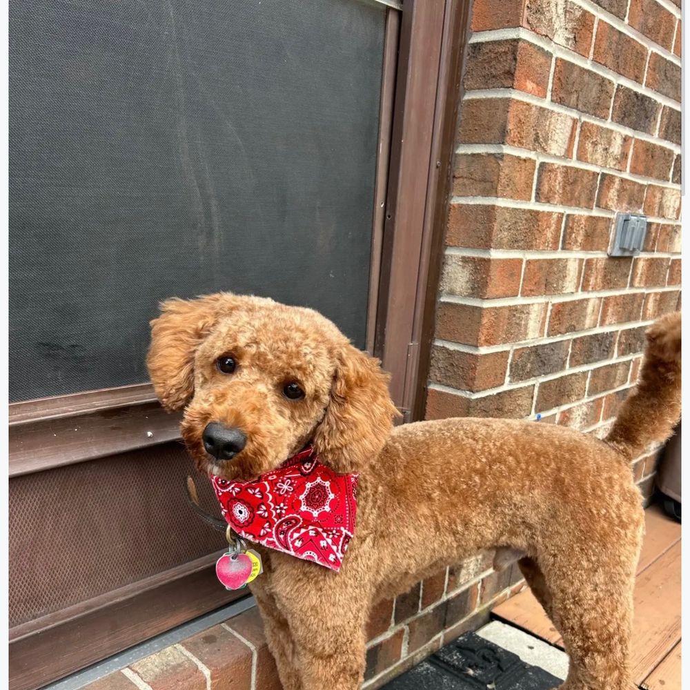 ajnjerry.bsky.social