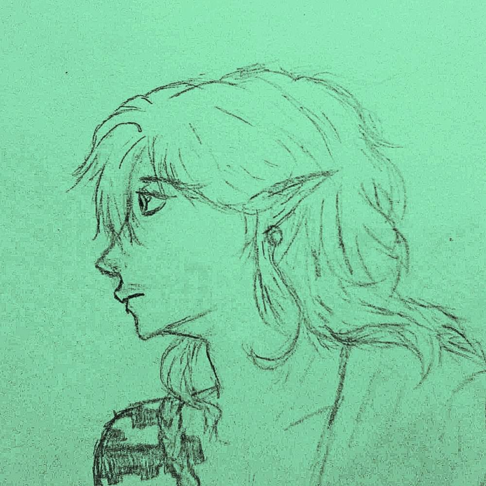 lau 🌿