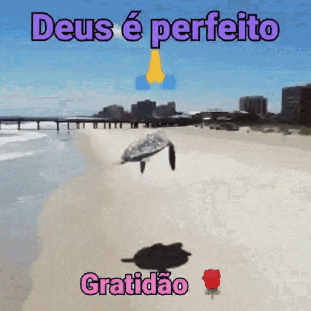 pdm sem filtro