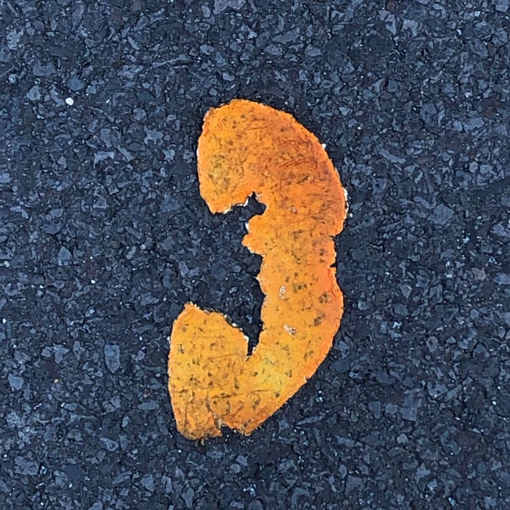 흑임자