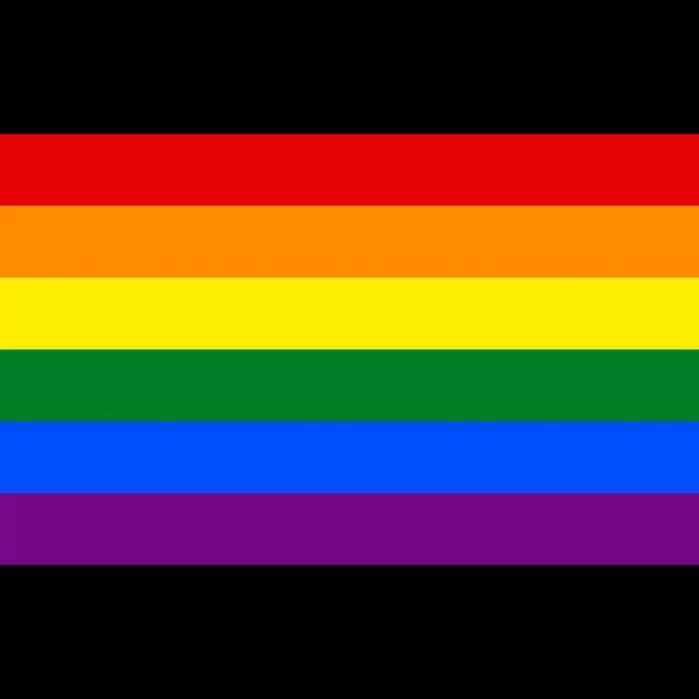 The Gay Guy 🏳️‍🌈