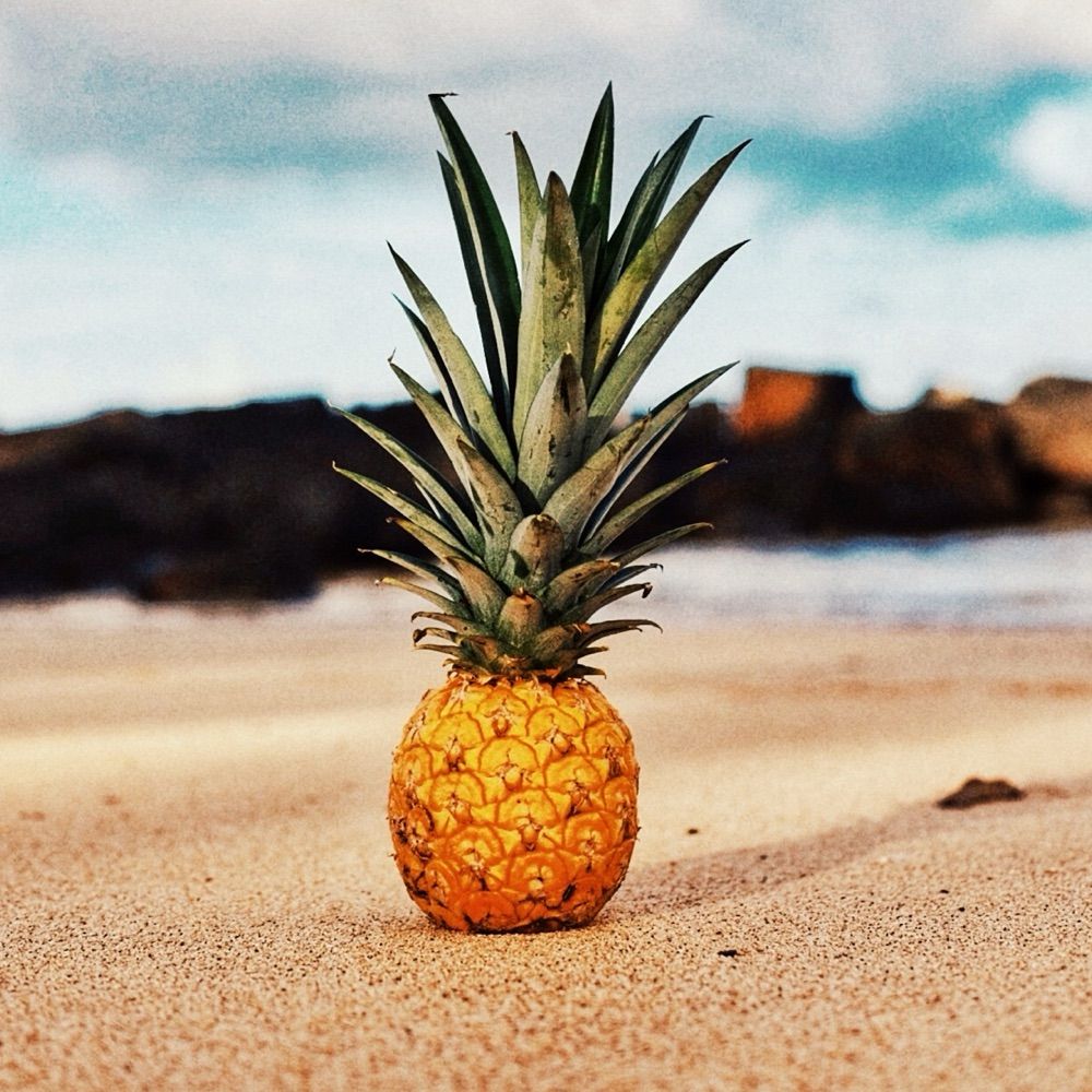 Shanna/Pineapple and Coconut