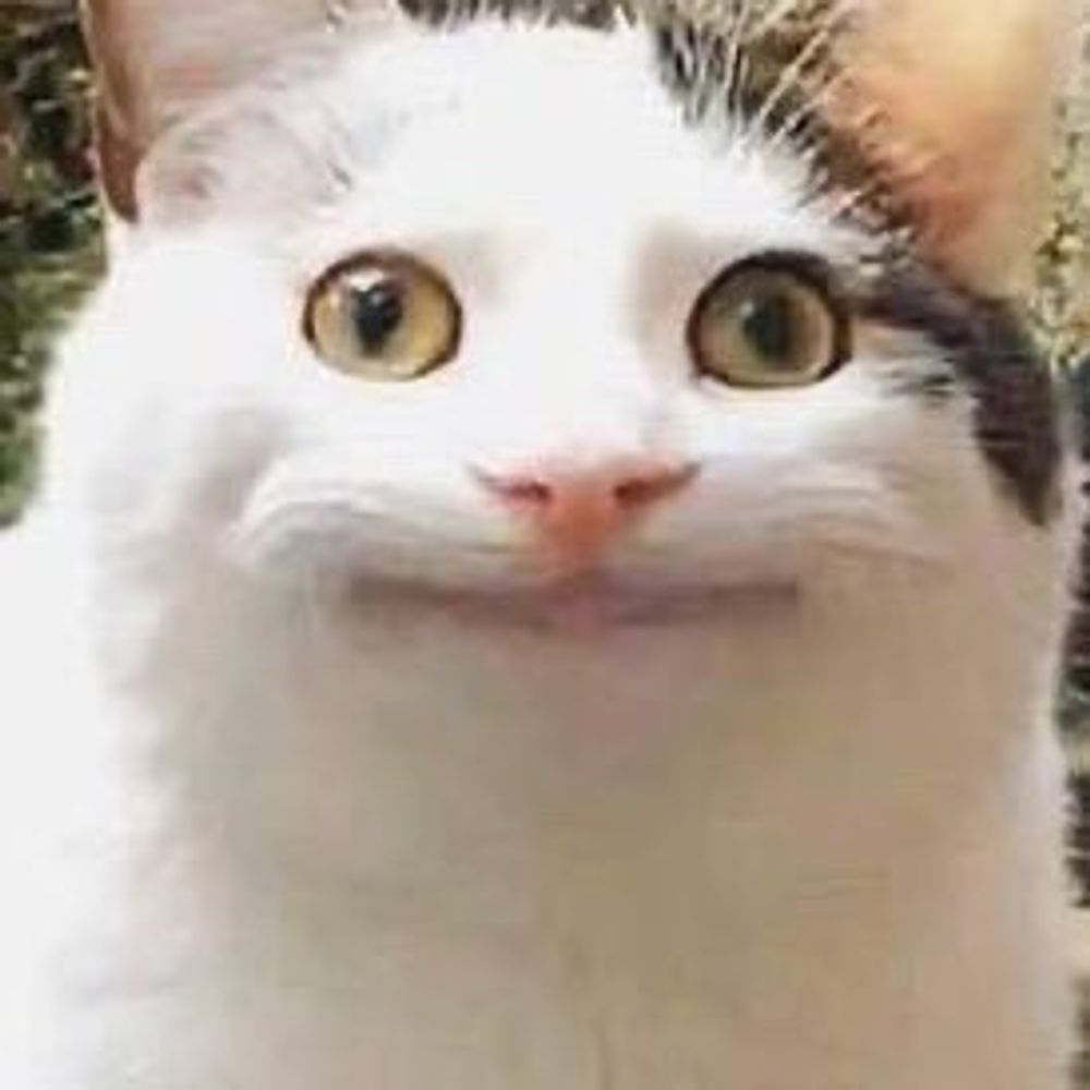 のいん