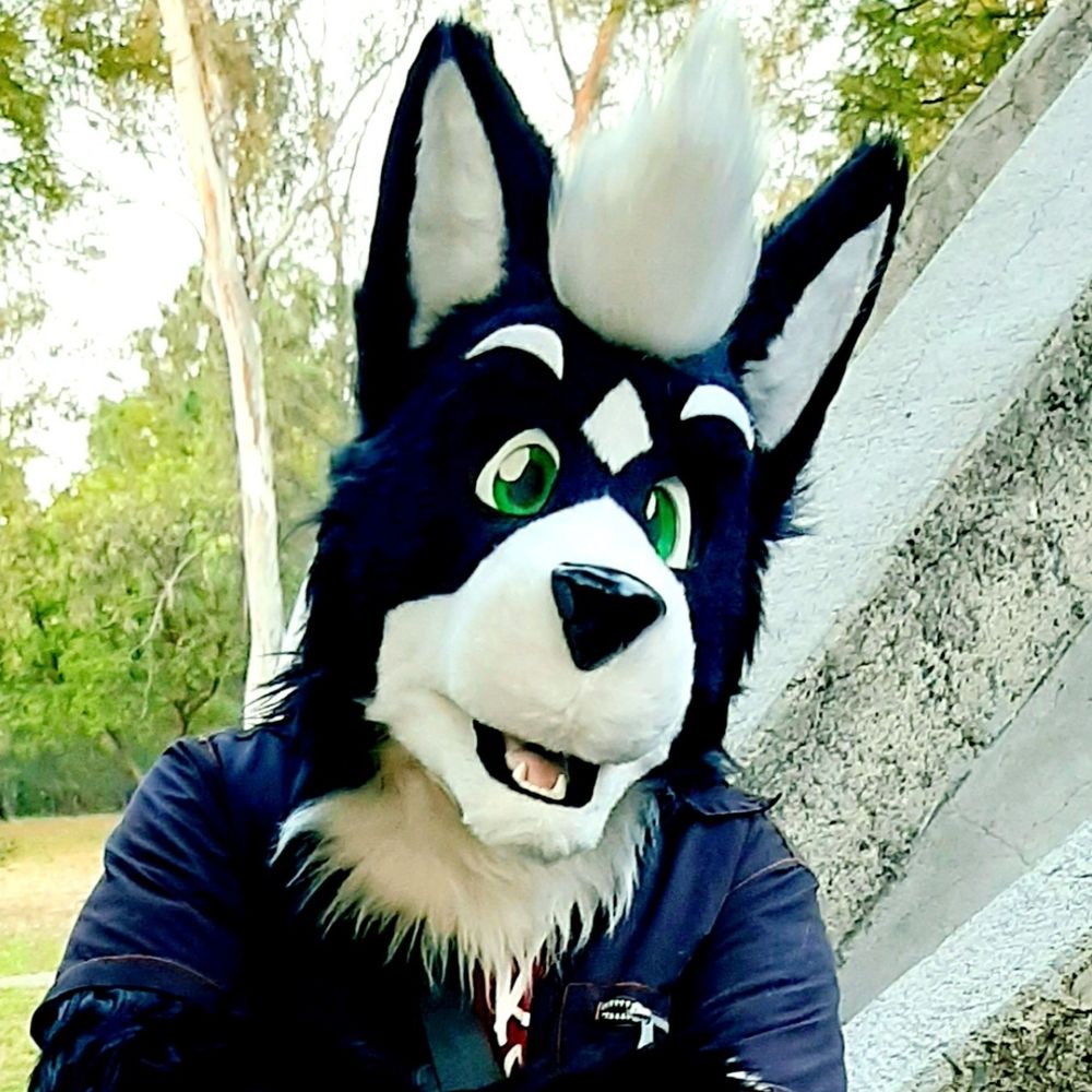 ♦️Wolffkey♦️