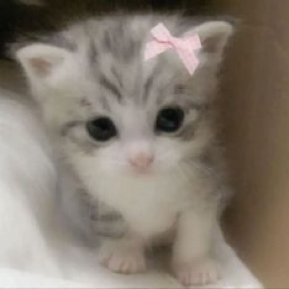 Nathani :3