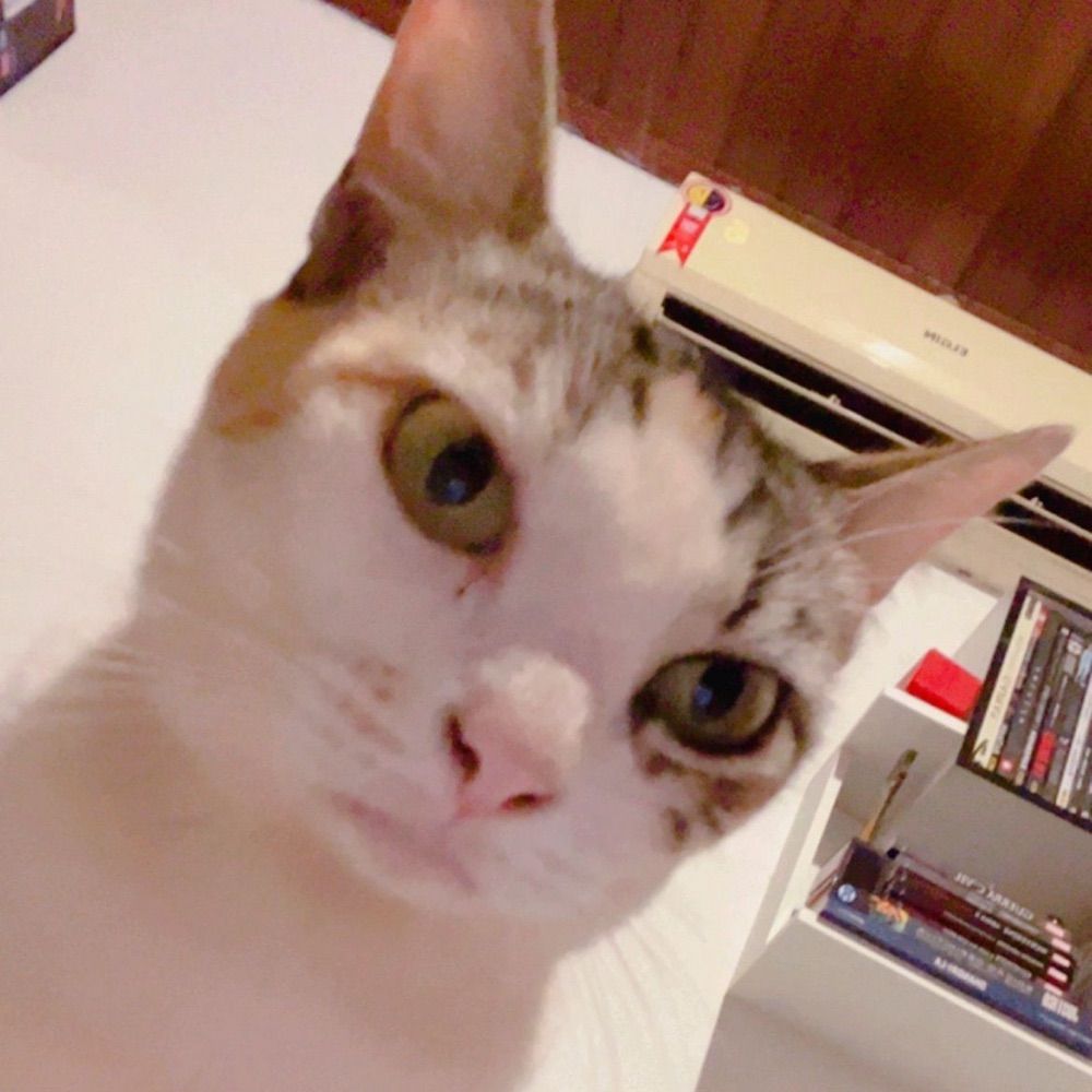 Felipe
