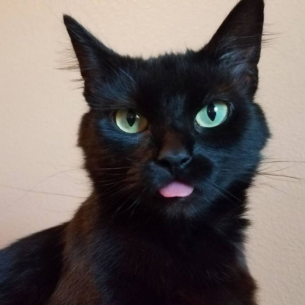 Heidi