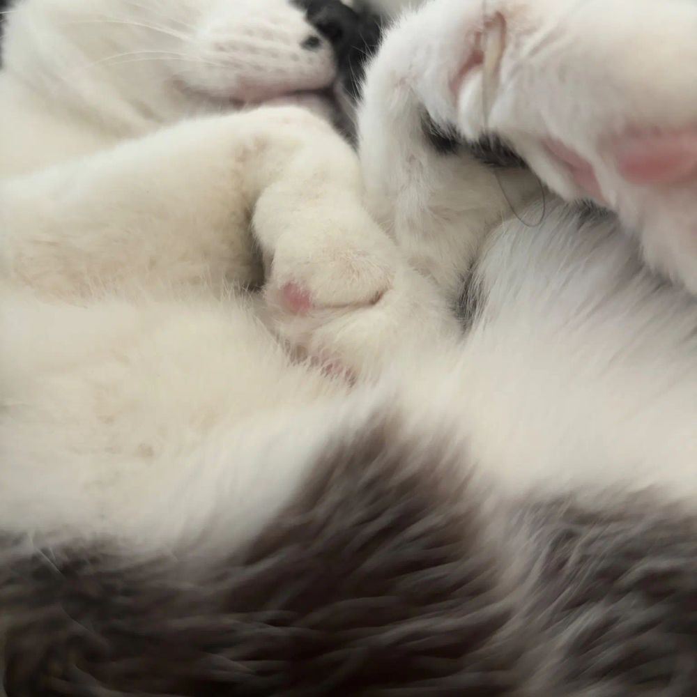 임우