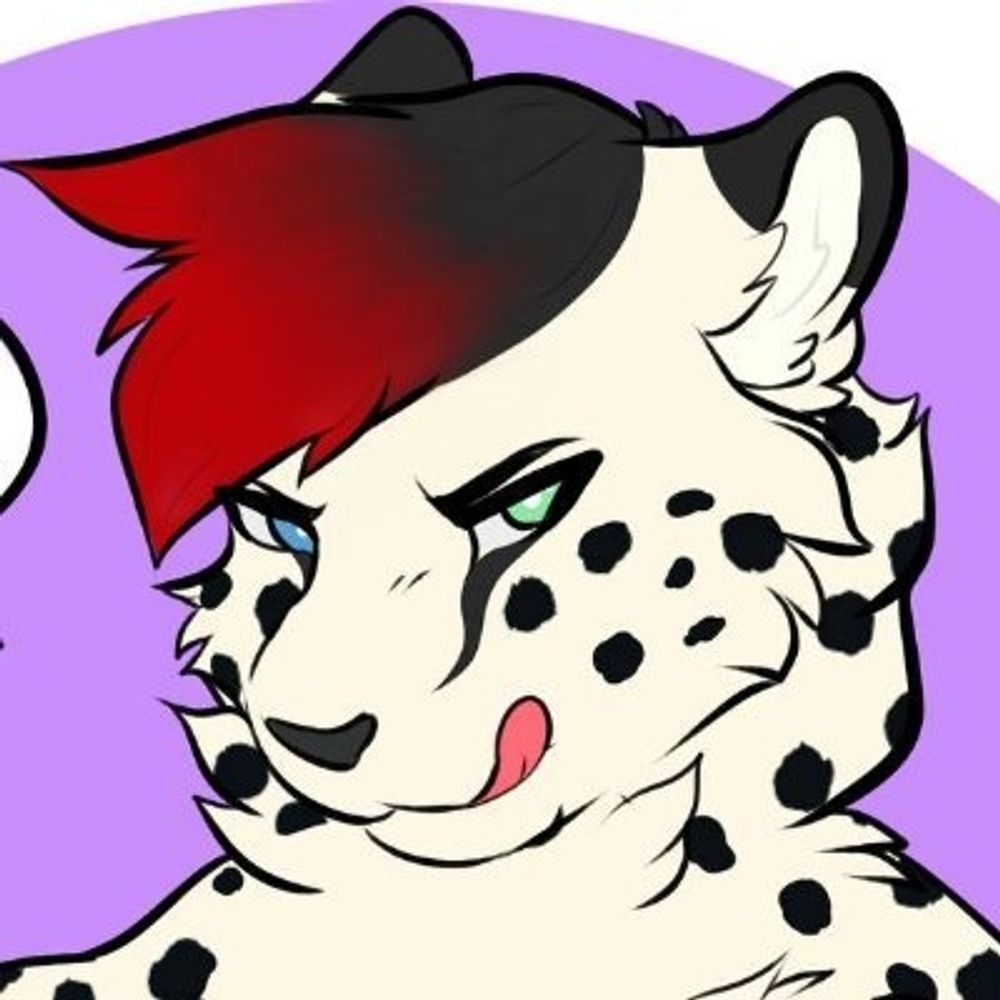 Domino