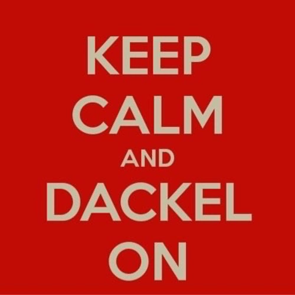 Redackelteur 🇪🇺🇩🇪🇺🇦