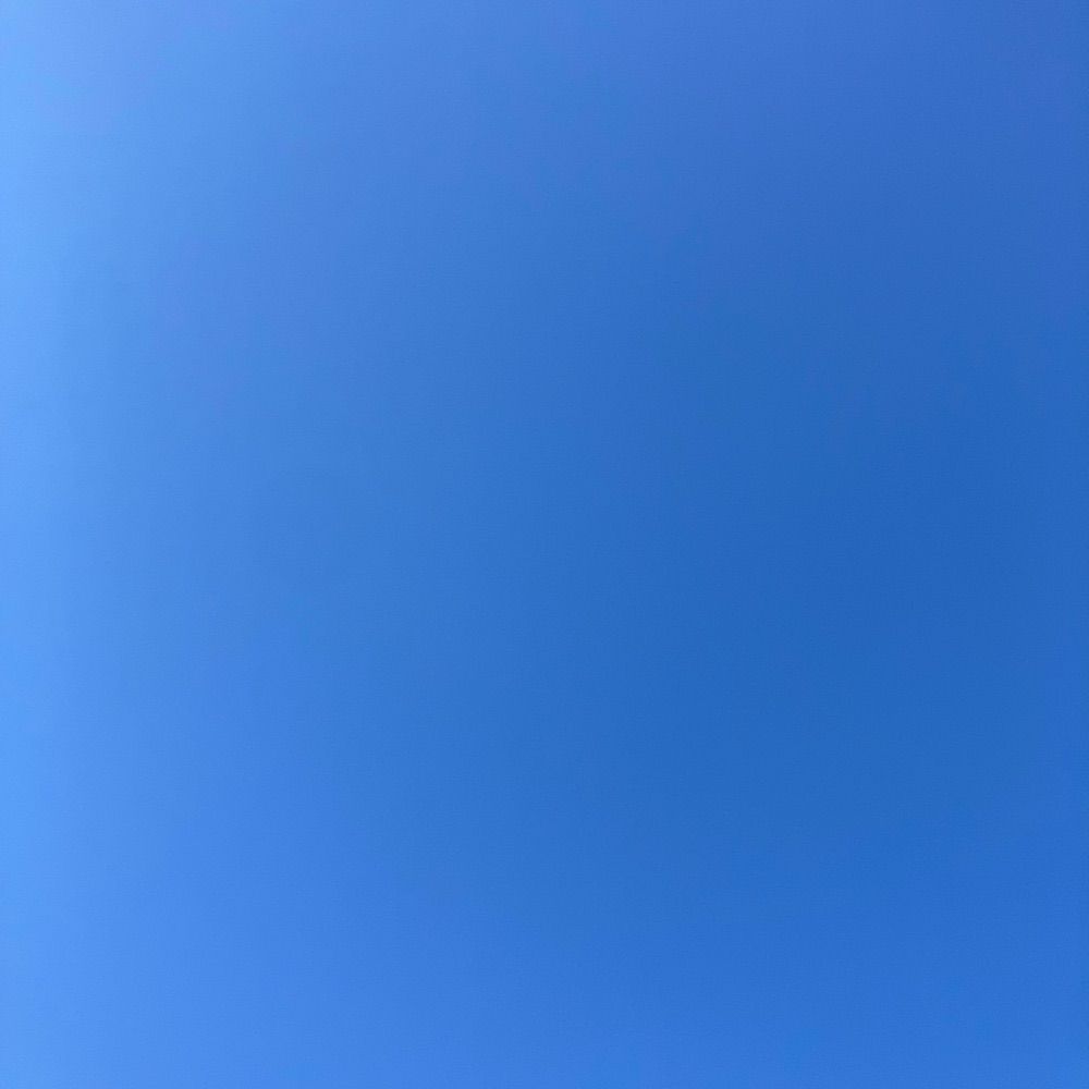 つれ
