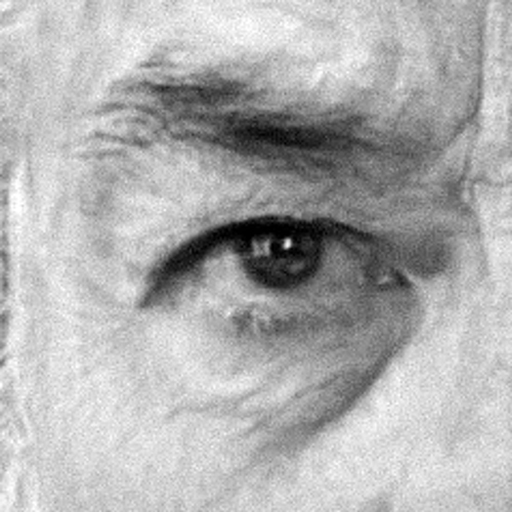 Steiner