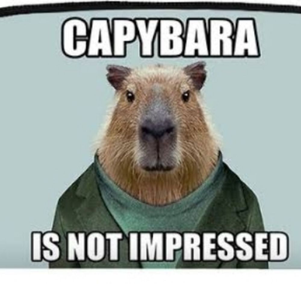 CapivaraCLT 