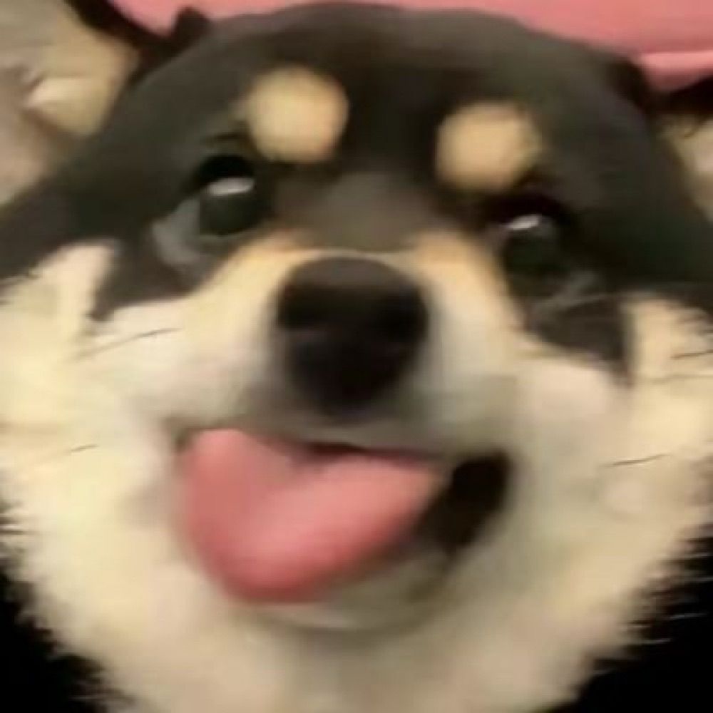 可乐
