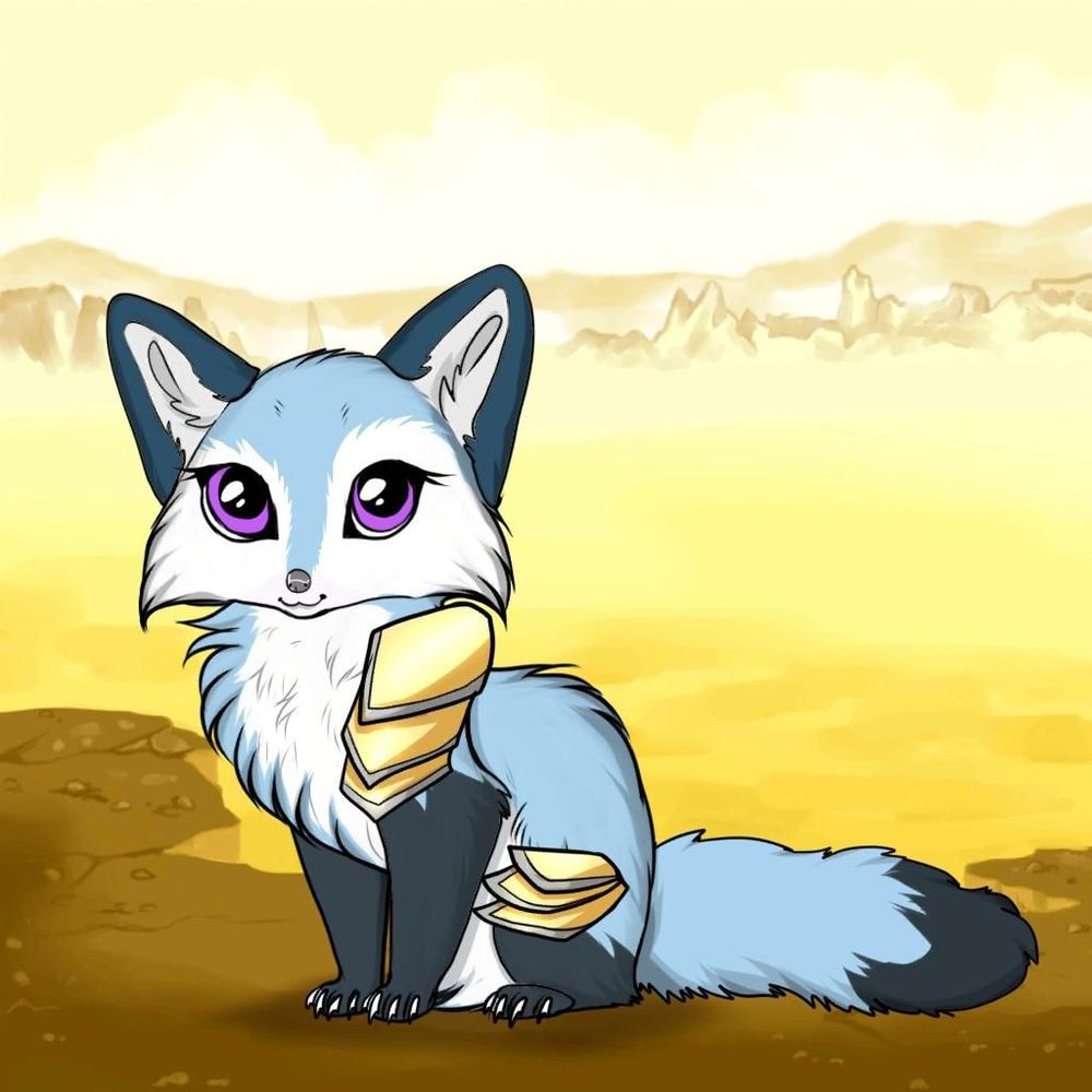 Kit