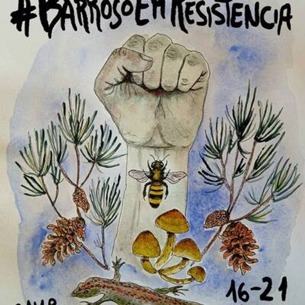 Barroso Em Resistência