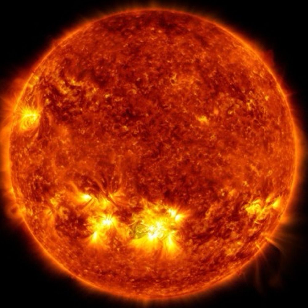 富良戸 太陽