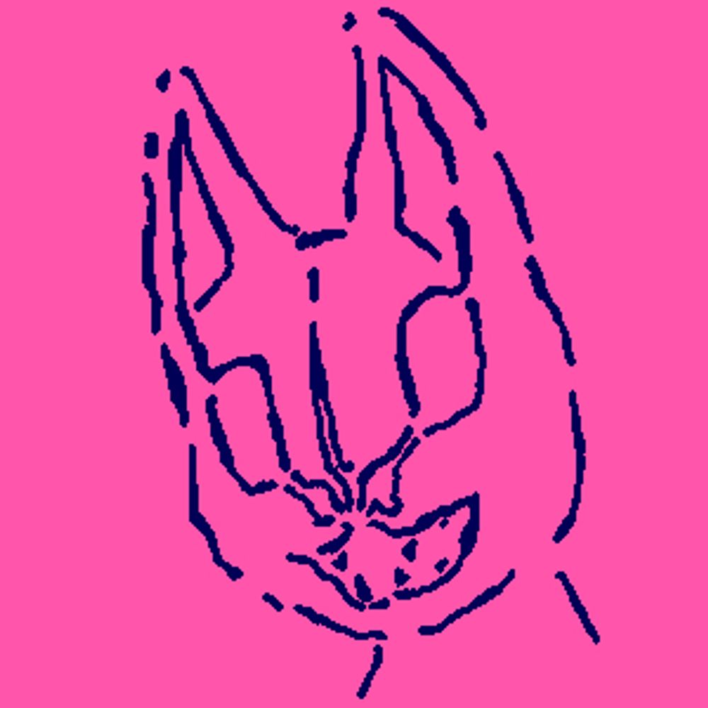 𝖇𝖚𝖌𝖇𝖊𝖆𝖗𝕿𝕾