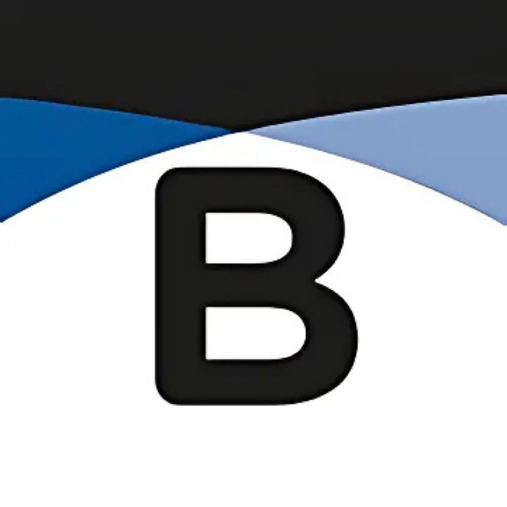 The Bridge Theatre Training Company