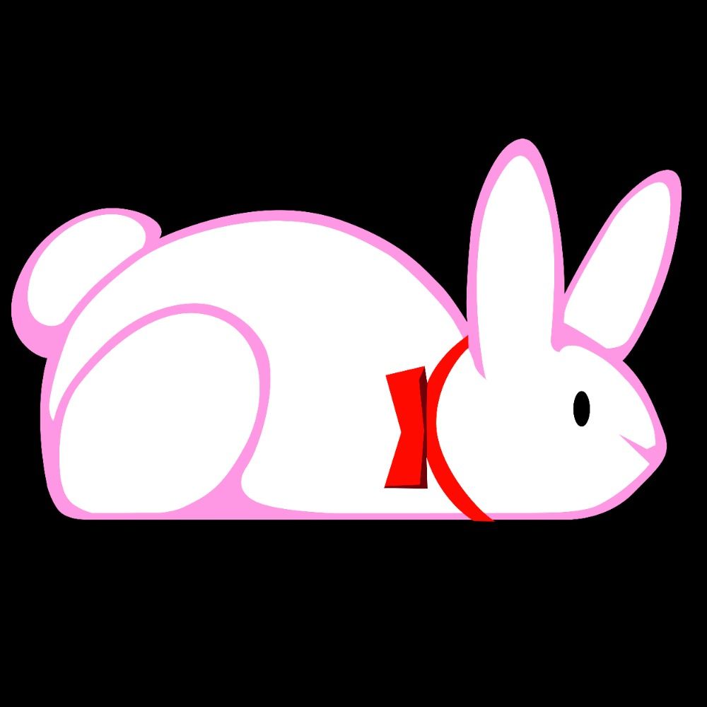 Tiny Buns