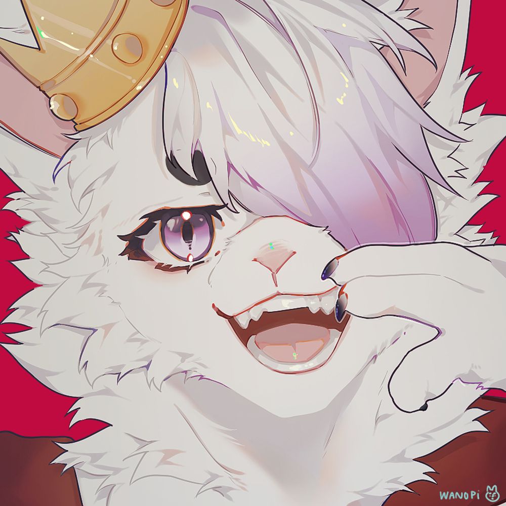 Axle 🔜 Confuzzled & Animalz