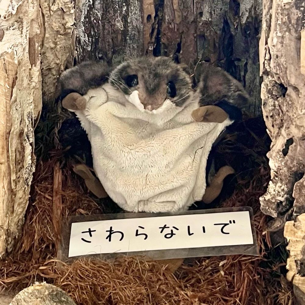 ちー