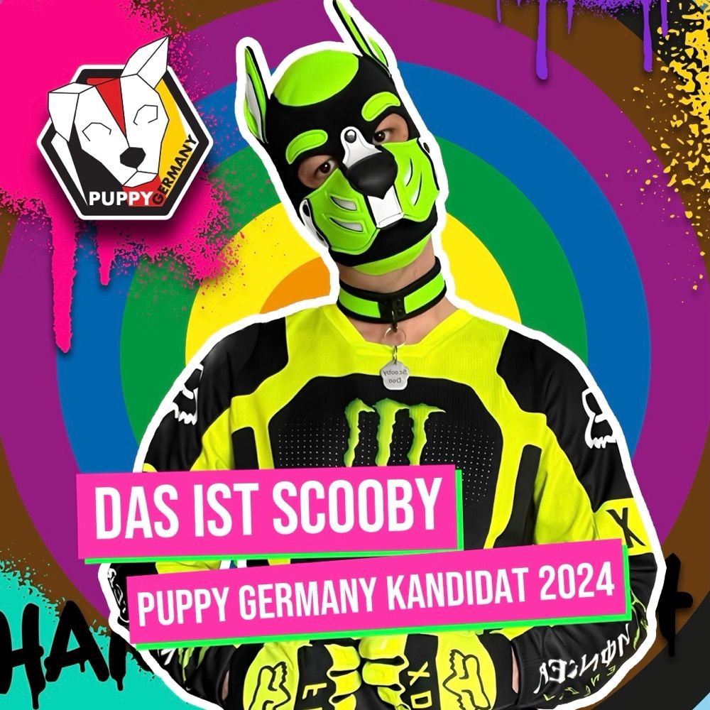 Pup_scoobydoo_82_official