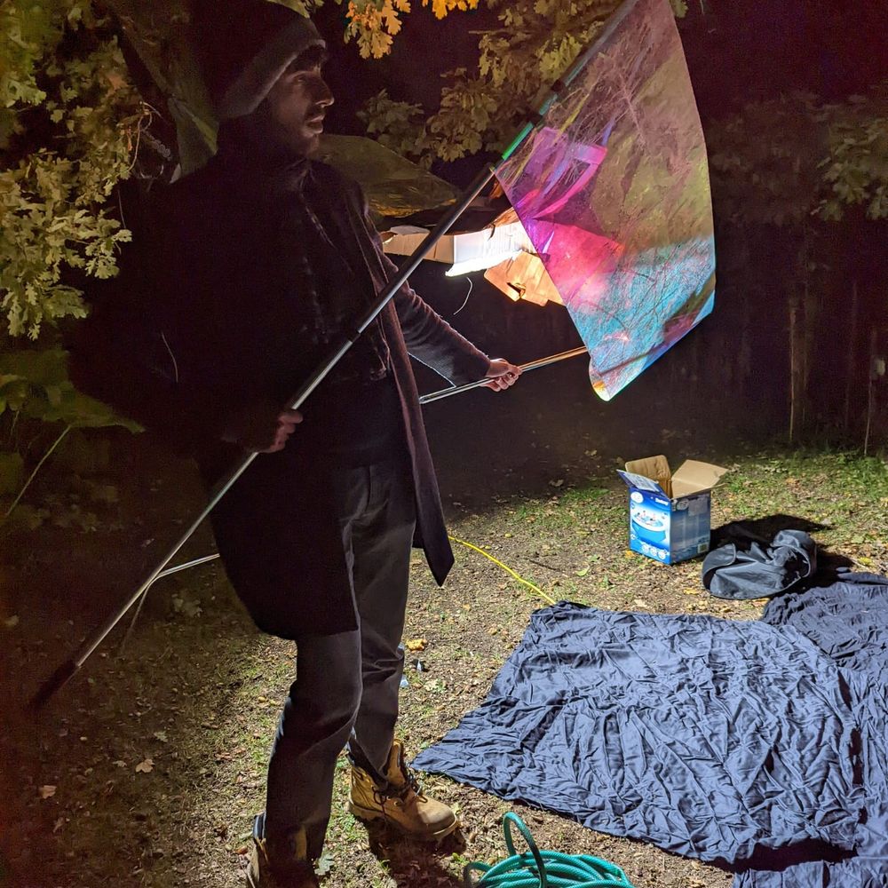 Tom (gamedev, writing, filmmaking)