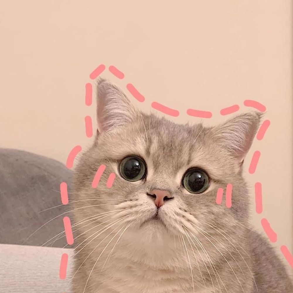 titi