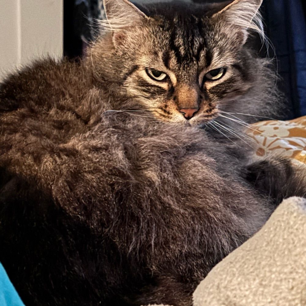 max
