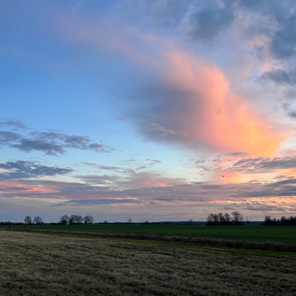 Oderbruch