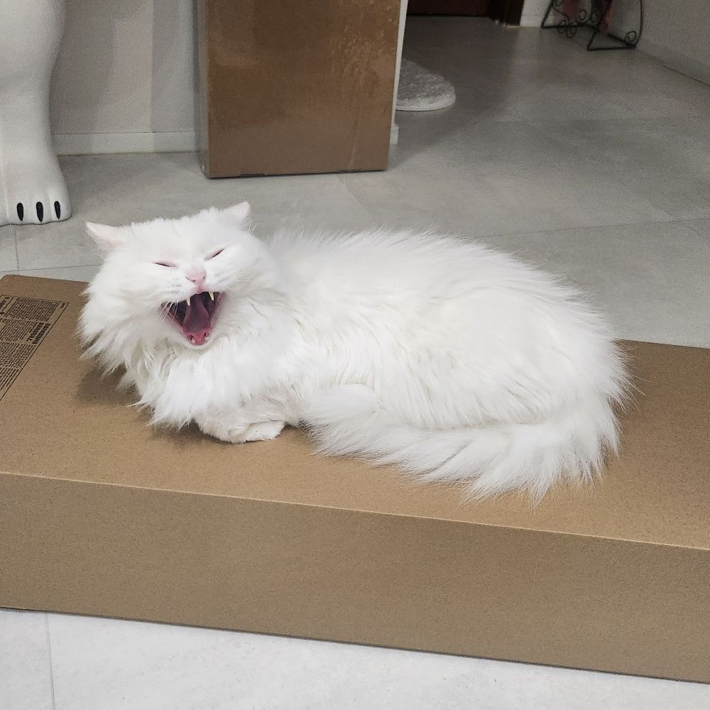 지백