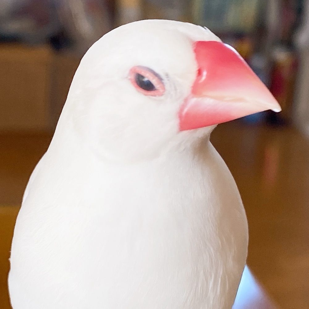 rotwerden