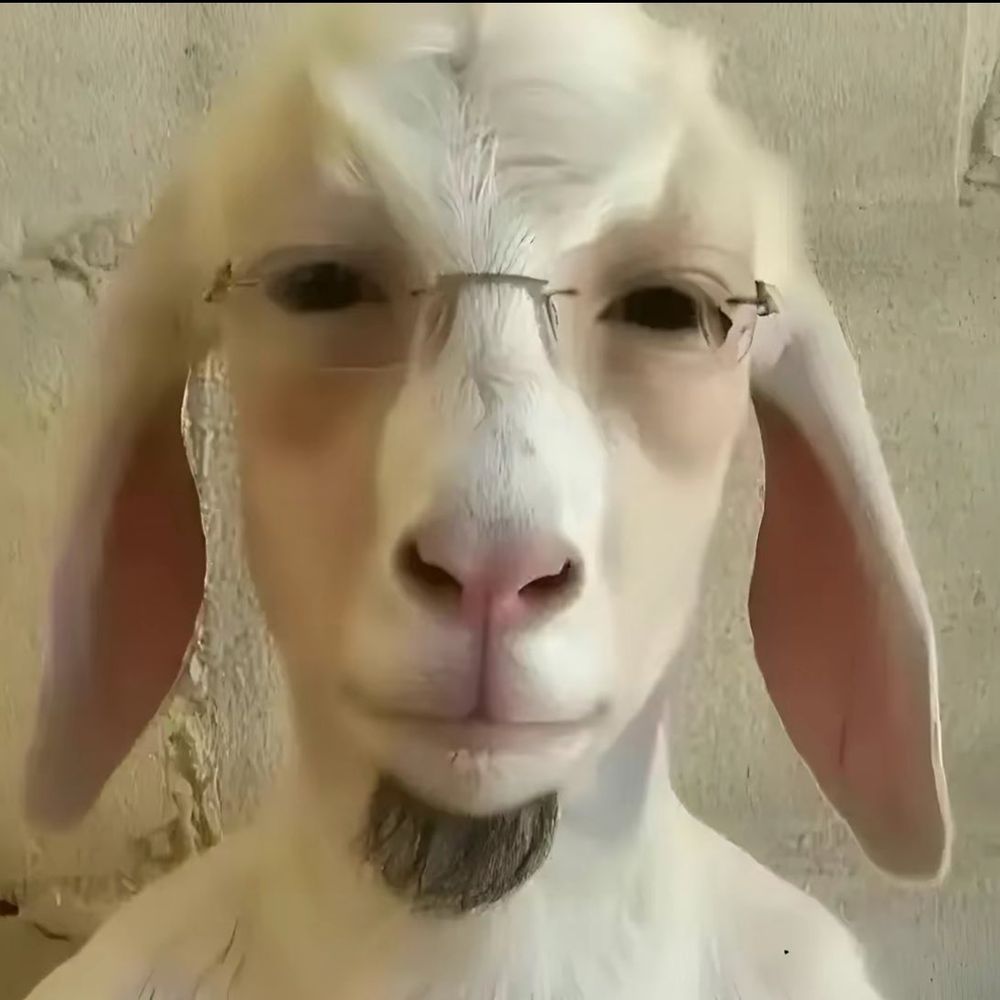 Sera