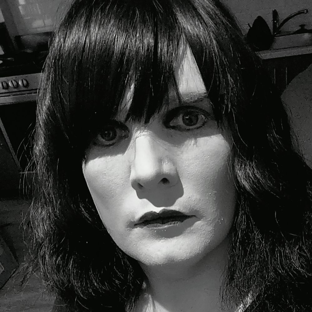 lilinravenholm.bsky.social profile picture