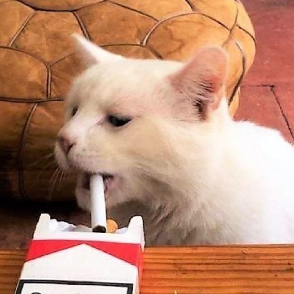 Так, це я