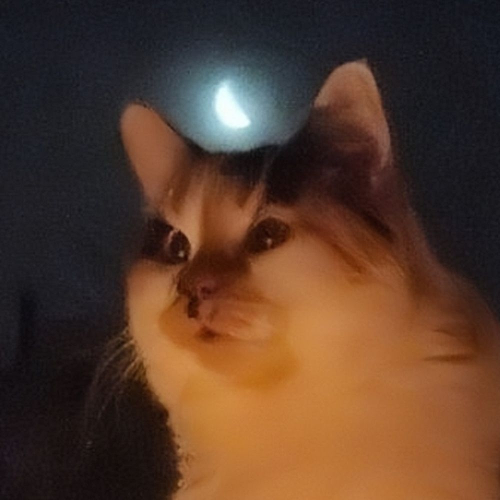 Wuwbubs