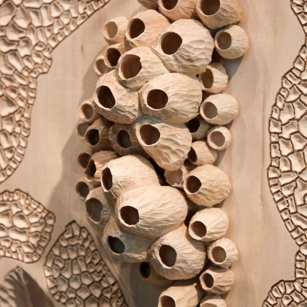 Josh Almond