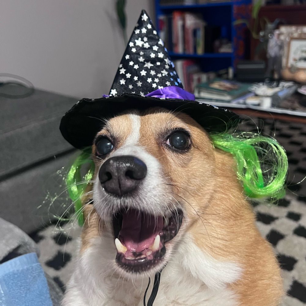 Jenny