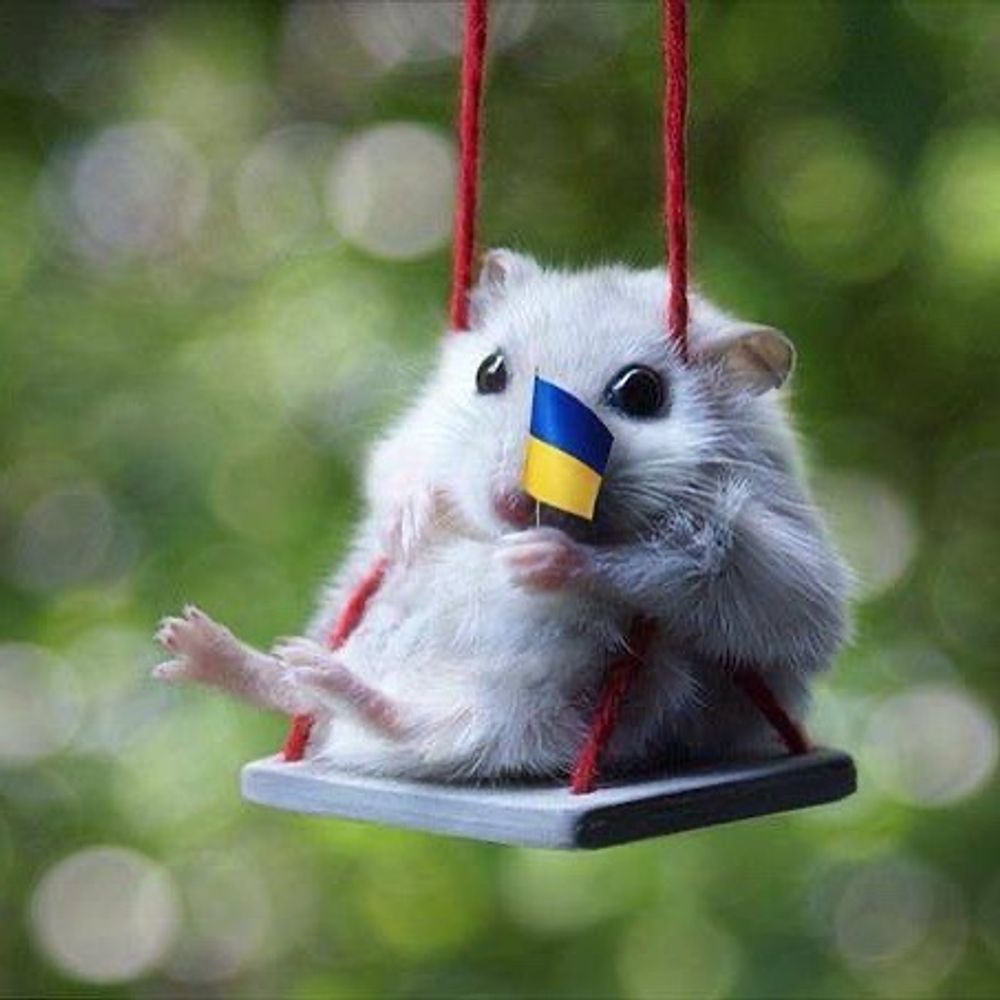 Злобна миша
