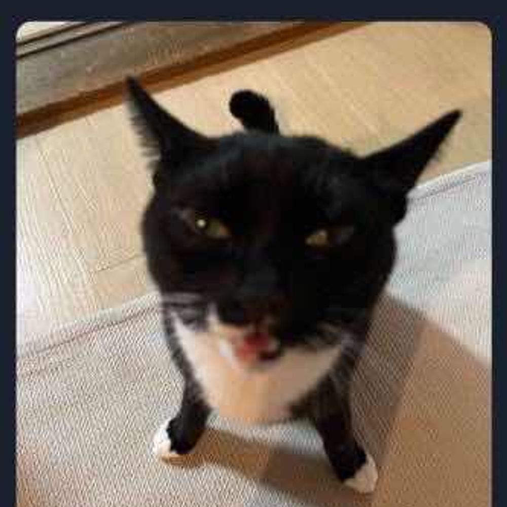 boopius 
