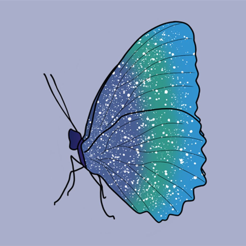Lizzyfly