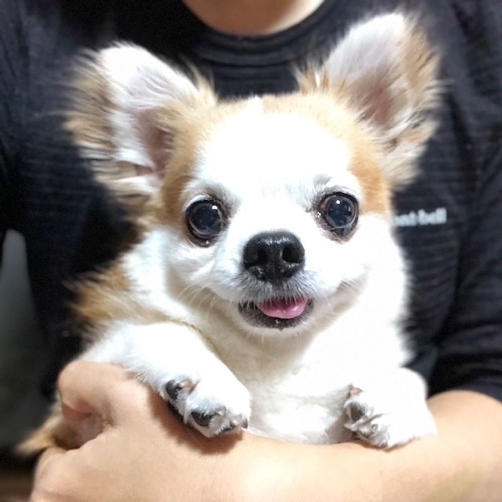 てず