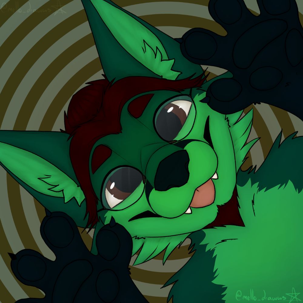 Crash Fox