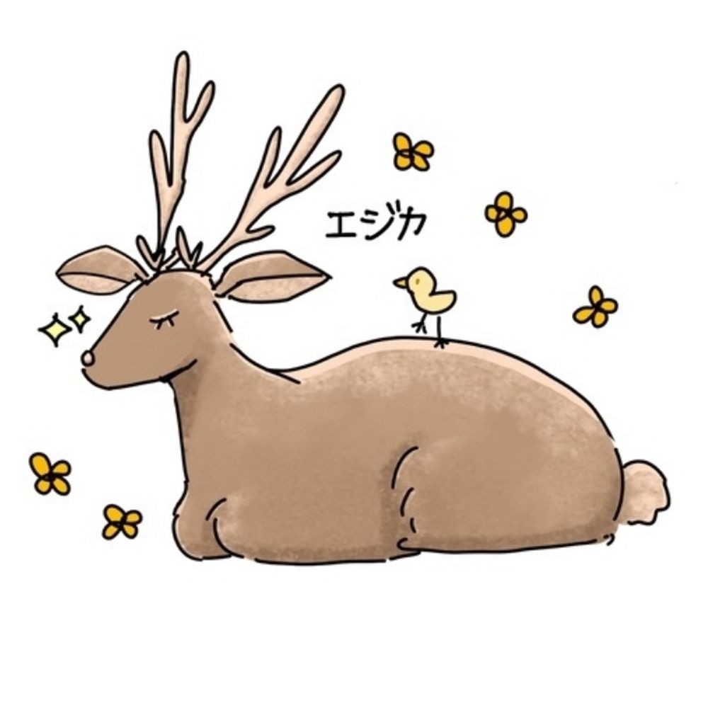 エジカ