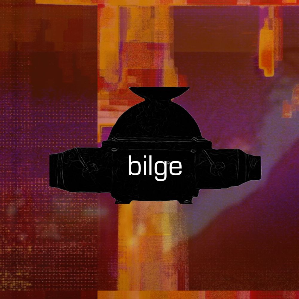 We are the music project - bilge